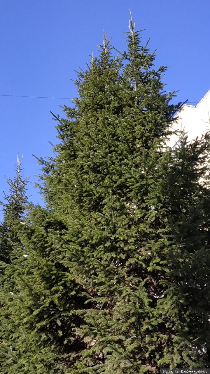 Октябрьская прогулка — Советские винтажные куклы (СССР): Ленигрушка (фото 2)