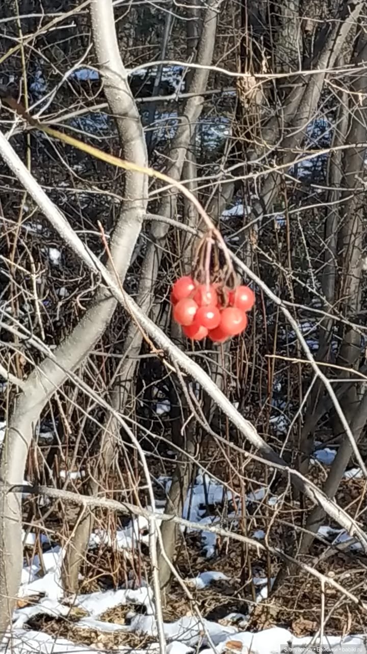 Октябрьская прогулка — Советские винтажные куклы (СССР): Ленигрушка