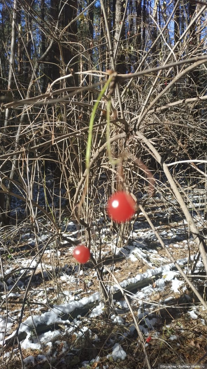 Октябрьская прогулка — Советские винтажные куклы (СССР): Ленигрушка