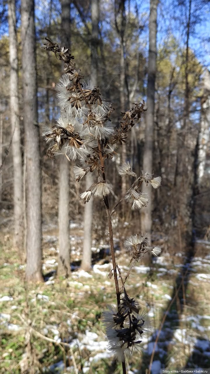 Октябрьская прогулка — Советские винтажные куклы (СССР): Ленигрушка