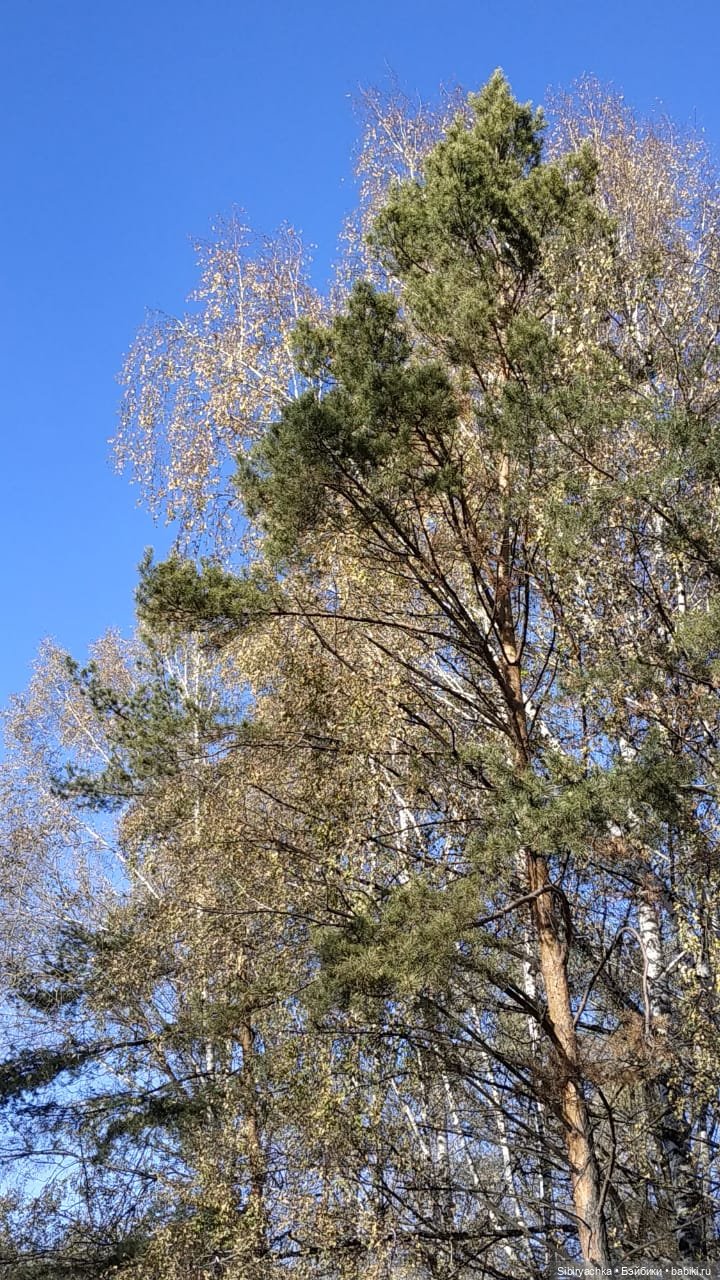 Октябрьская прогулка — Советские винтажные куклы (СССР): Ленигрушка