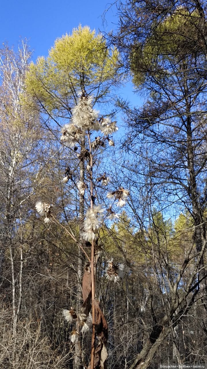 Октябрьская прогулка — Советские винтажные куклы (СССР): Ленигрушка