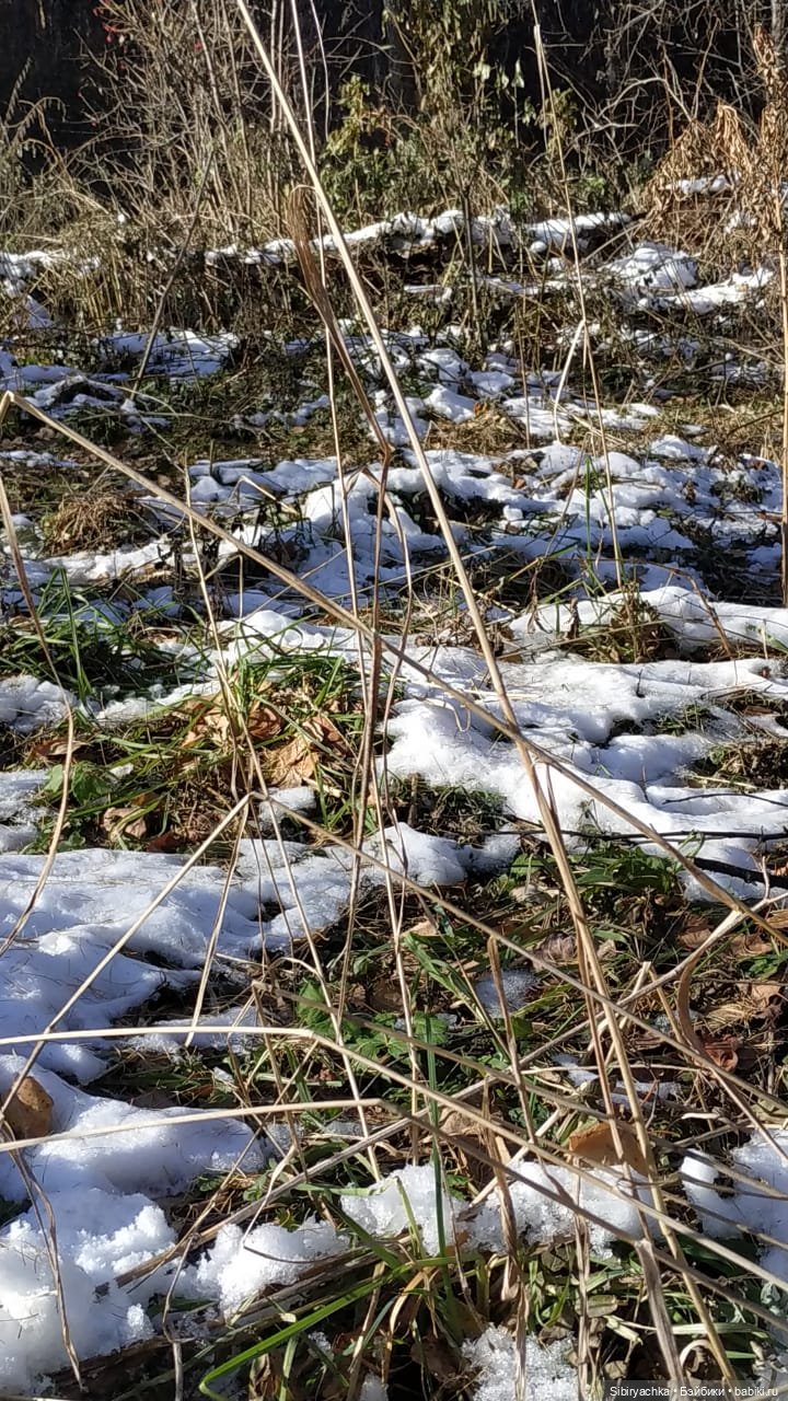 Октябрьская прогулка — Советские винтажные куклы (СССР): Ленигрушка