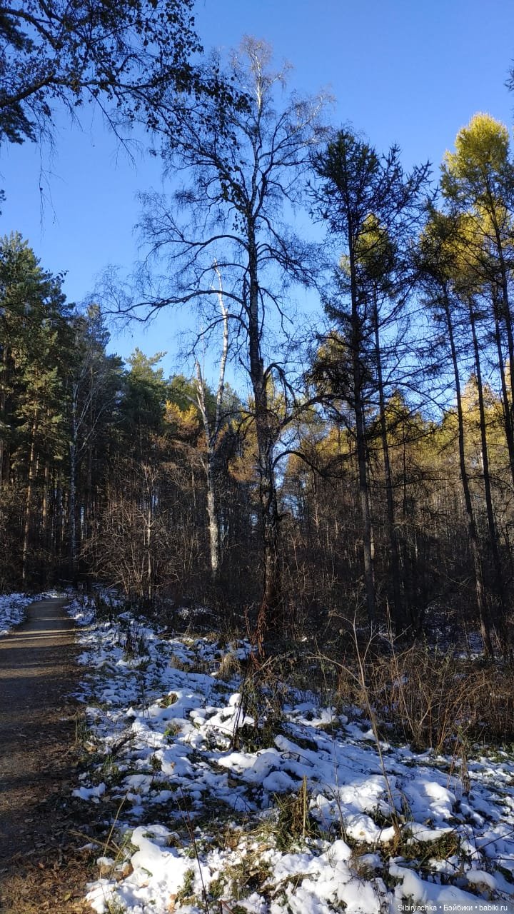 Октябрьская прогулка — Советские винтажные куклы (СССР): Ленигрушка