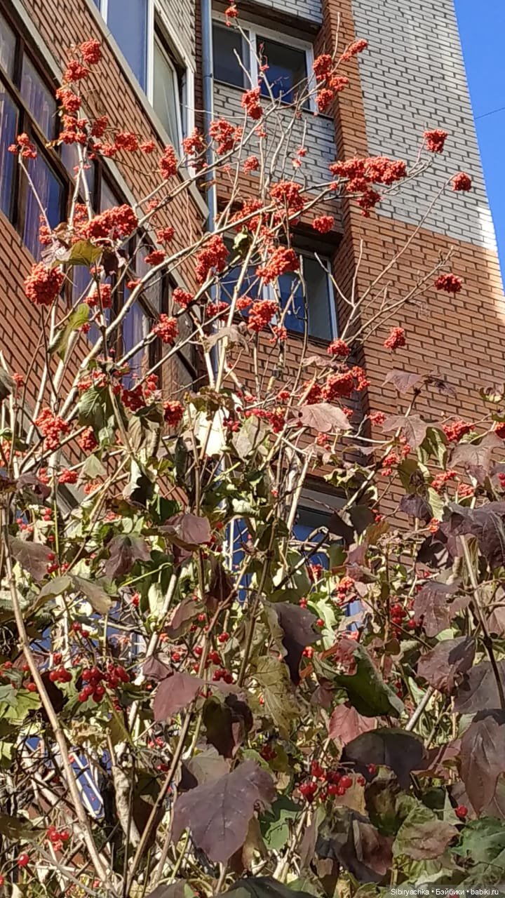 Октябрьская прогулка — Советские винтажные куклы (СССР): Ленигрушка