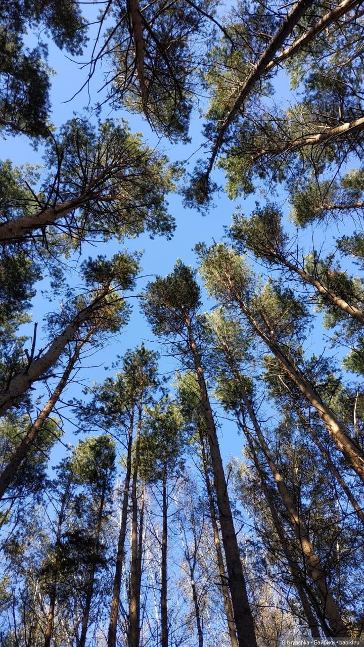 Октябрьская прогулка — Советские винтажные куклы (СССР): Ленигрушка