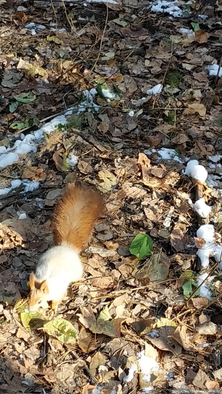 Октябрьская прохлада танцам не помеха