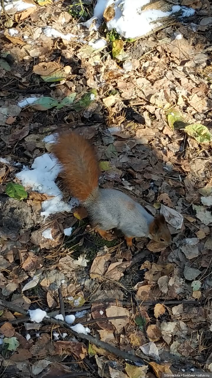 Октябрьская прохлада танцам не помеха