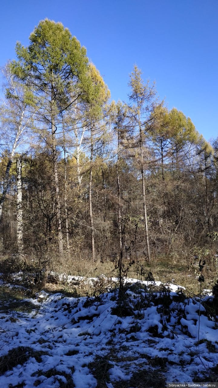 Октябрьская прохлада танцам не помеха (фото 6)