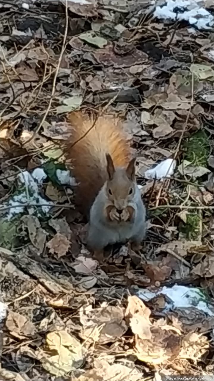 Октябрьская прохлада танцам не помеха