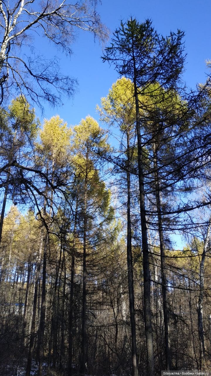 Октябрьская прохлада танцам не помеха (фото 5)