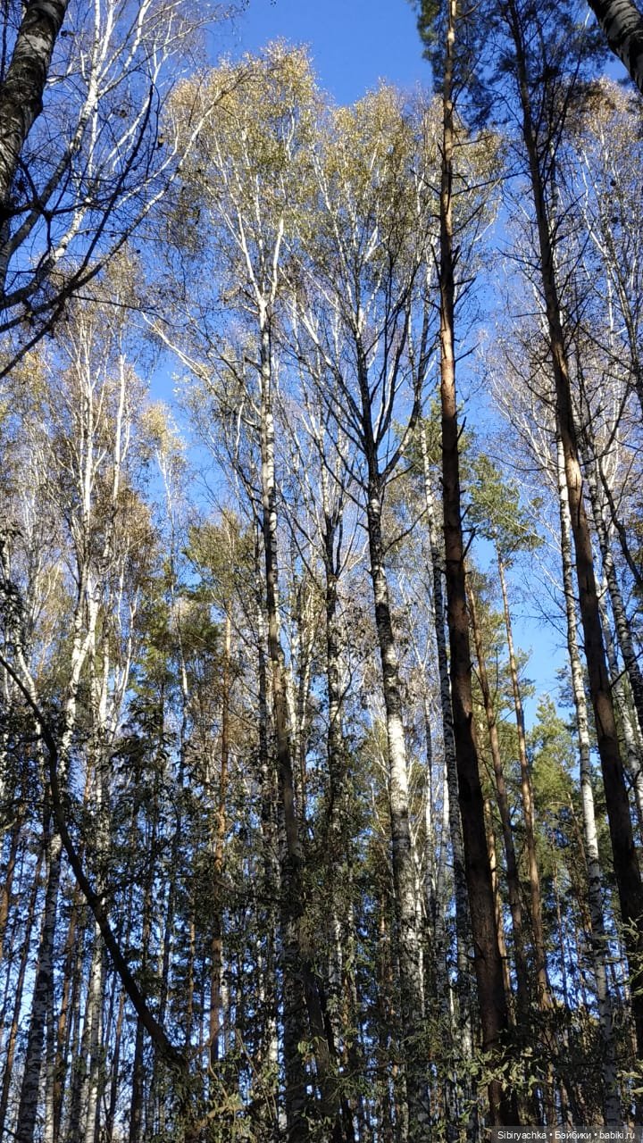 Октябрьская прохлада танцам не помеха (фото 3)