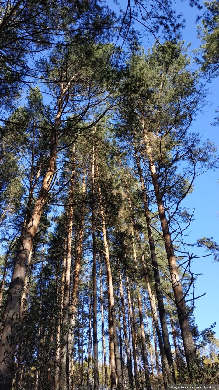 Октябрьская прохлада танцам не помеха (фото 4)