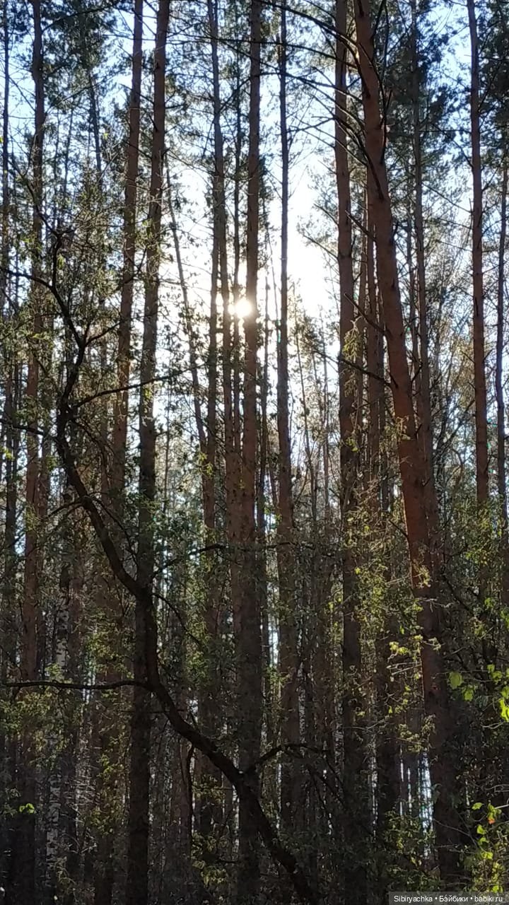 Октябрьская прохлада танцам не помеха (фото 2)