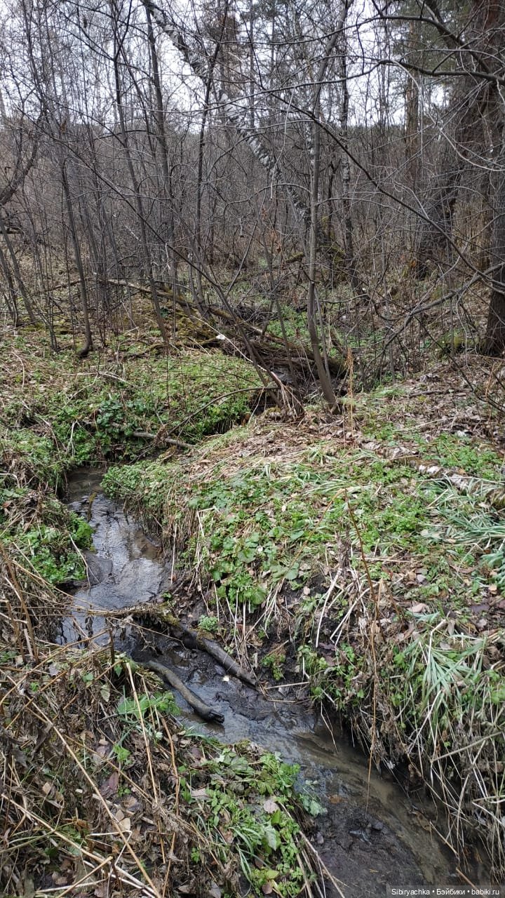 Образ лисы в русских народных сказках. Лиса Патрикеевна слушает прощальную песнь осени (фото 2)