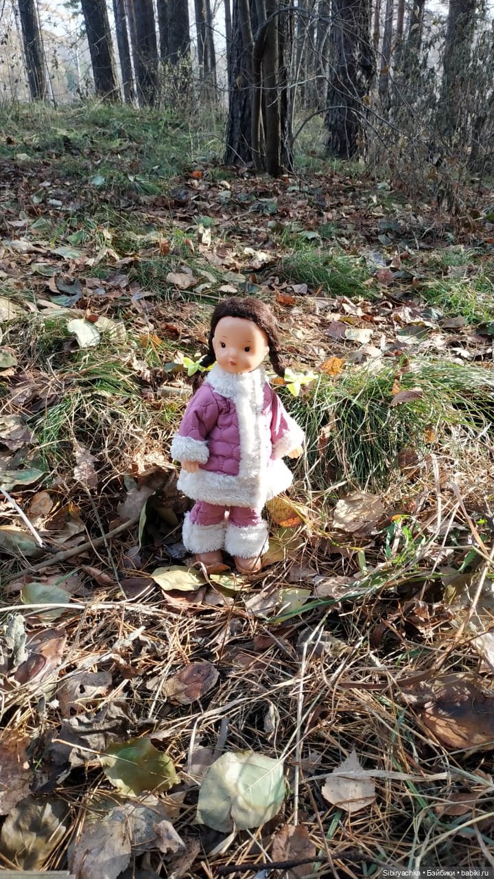 Чудесный ноябрьский денёк в любимом лесу