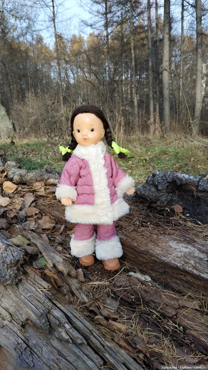 Чудесный ноябрьский денёк в любимом лесу