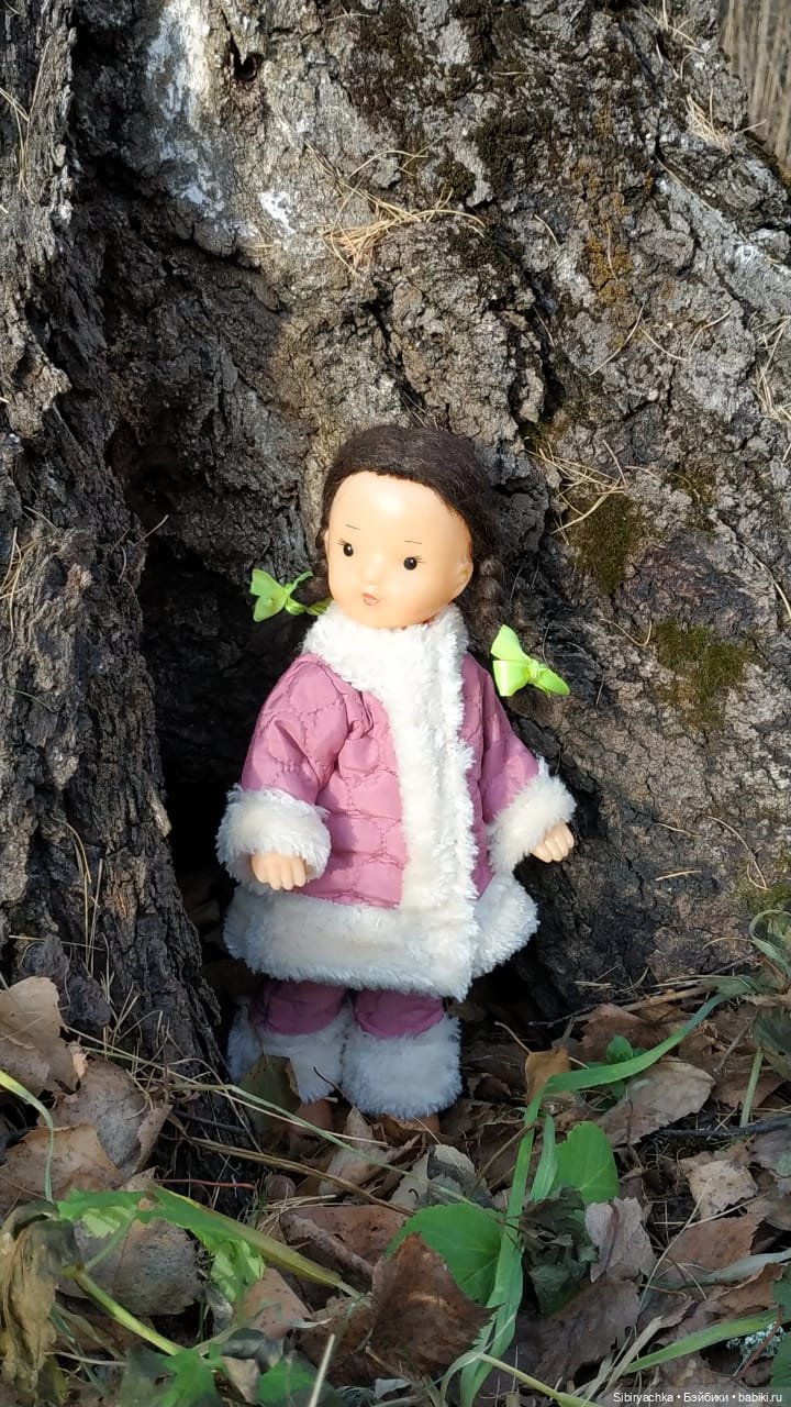 Чудесный ноябрьский денёк в любимом лесу