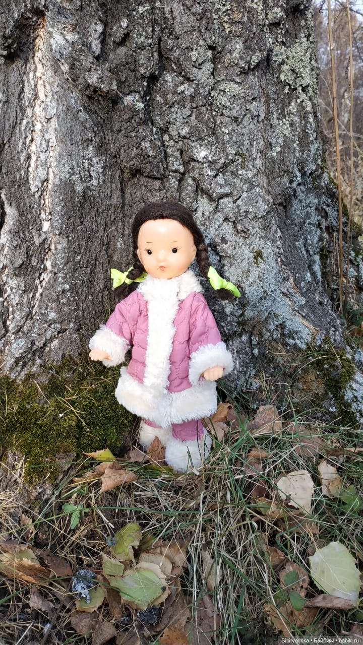 Чудесный ноябрьский денёк в любимом лесу