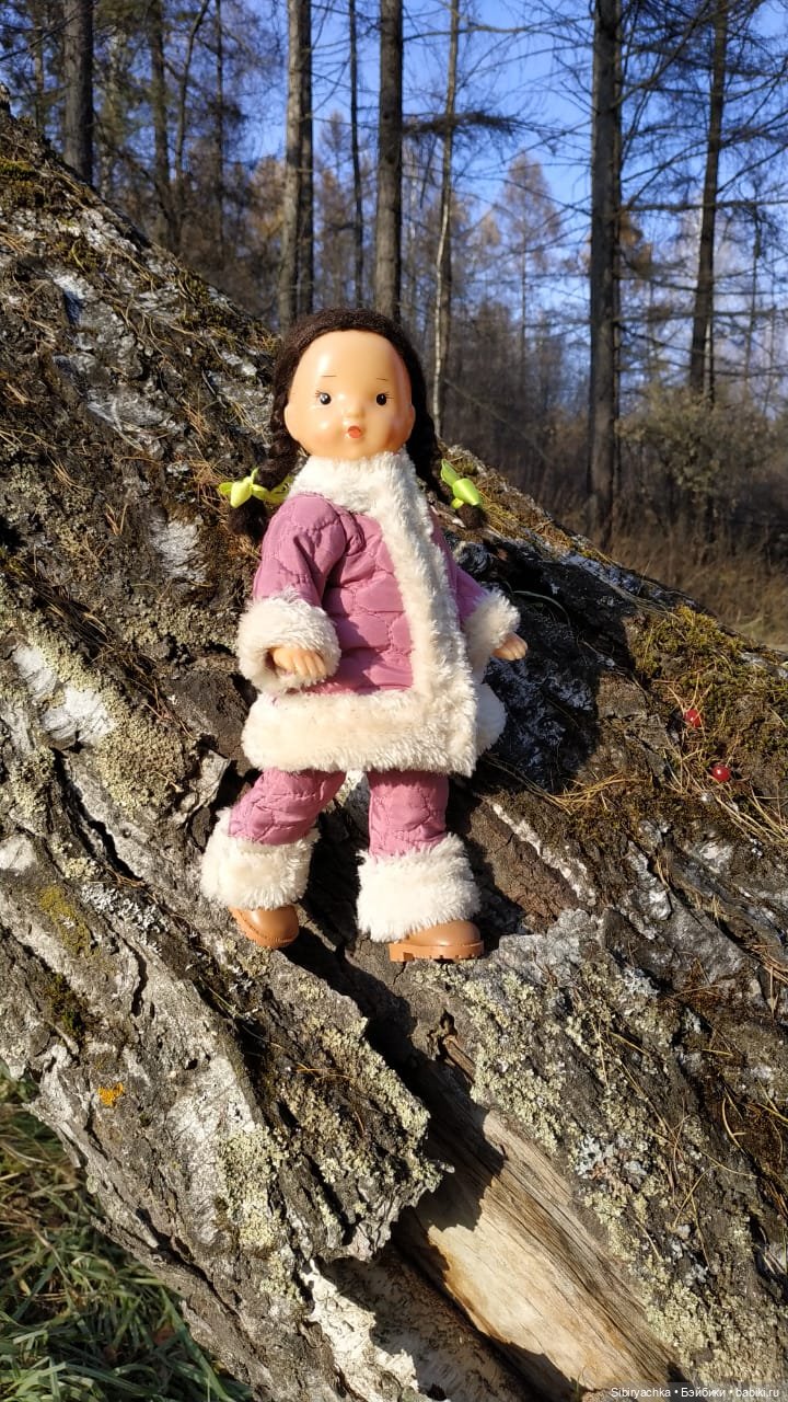 Чудесный ноябрьский денёк в любимом лесу