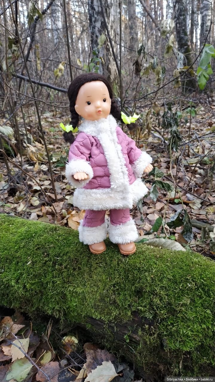 Чудесный ноябрьский денёк в любимом лесу