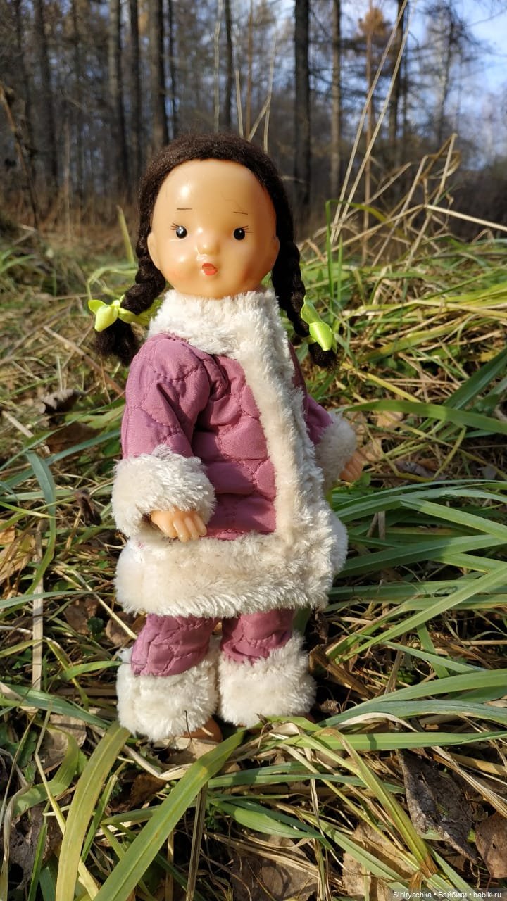 Чудесный ноябрьский денёк в любимом лесу