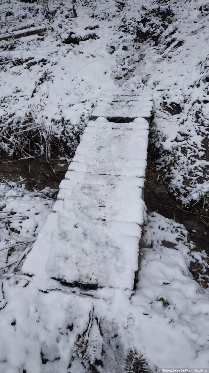 Новая дублёнка Юляшки. Первый ноябрьский снег. Прогулка в любимом лесу