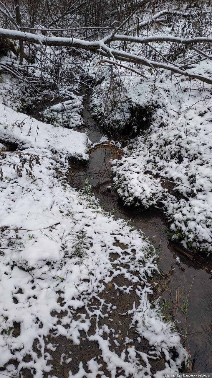 Новая дублёнка Юляшки. Первый ноябрьский снег. Прогулка в любимом лесу