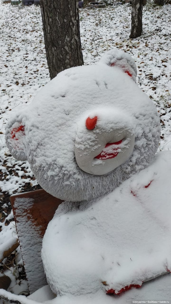 Новая дублёнка Юляшки. Первый ноябрьский снег. Прогулка в любимом лесу (фото 9)