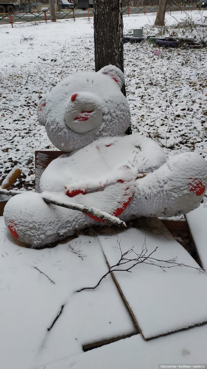 Новая дублёнка Юляшки. Первый ноябрьский снег. Прогулка в любимом лесу (фото 8)