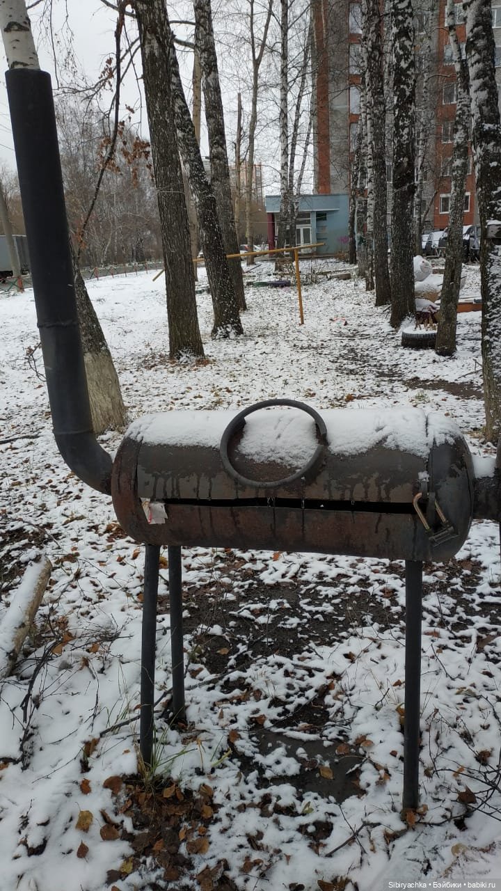 Новая дублёнка Юляшки. Первый ноябрьский снег. Прогулка в любимом лесу (фото 5)