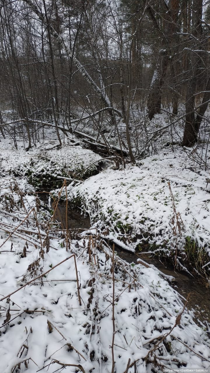 Новая дублёнка Юляшки. Первый ноябрьский снег. Прогулка в любимом лесу
