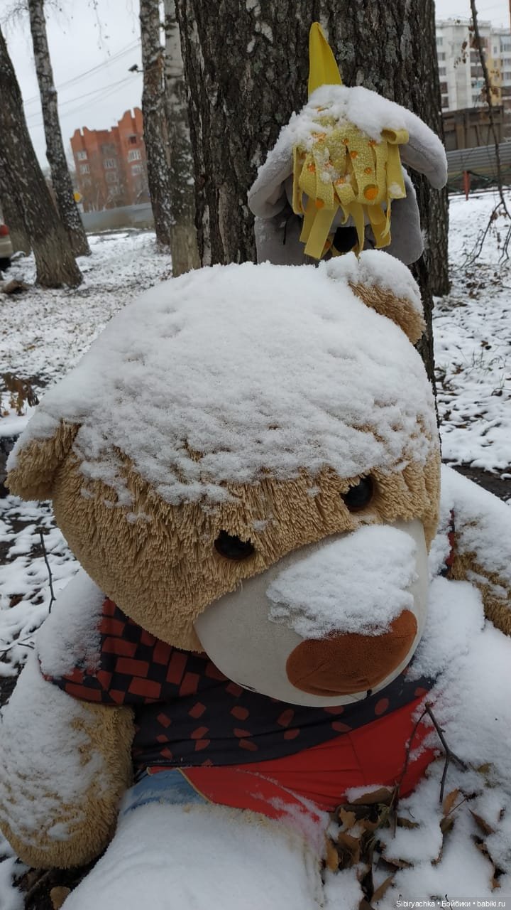 Новая дублёнка Юляшки. Первый ноябрьский снег. Прогулка в любимом лесу