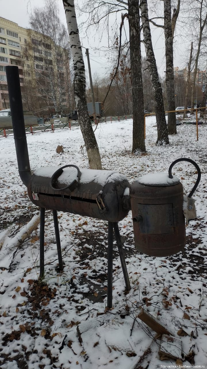 Новая дублёнка Юляшки. Первый ноябрьский снег. Прогулка в любимом лесу (фото 4)