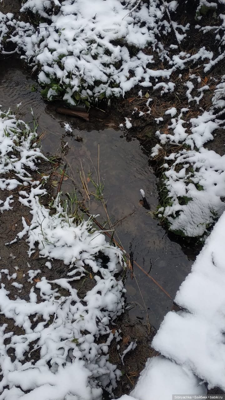 Новая дублёнка Юляшки. Первый ноябрьский снег. Прогулка в любимом лесу