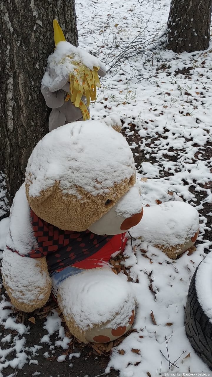 Новая дублёнка Юляшки. Первый ноябрьский снег. Прогулка в любимом лесу (фото 10)