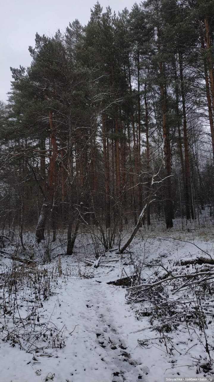 Новая дублёнка Юляшки. Первый ноябрьский снег. Прогулка в любимом лесу