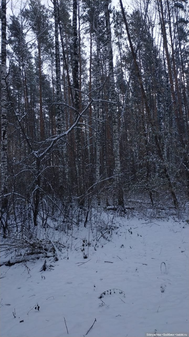 Лёгкий морозец прогулке не помеха