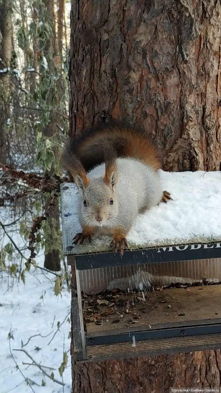 Юляшкина прогулка в погожий ноябрьский денёк | Бэйбики Юляшкина прогулка в погожий ноябрьский денёк