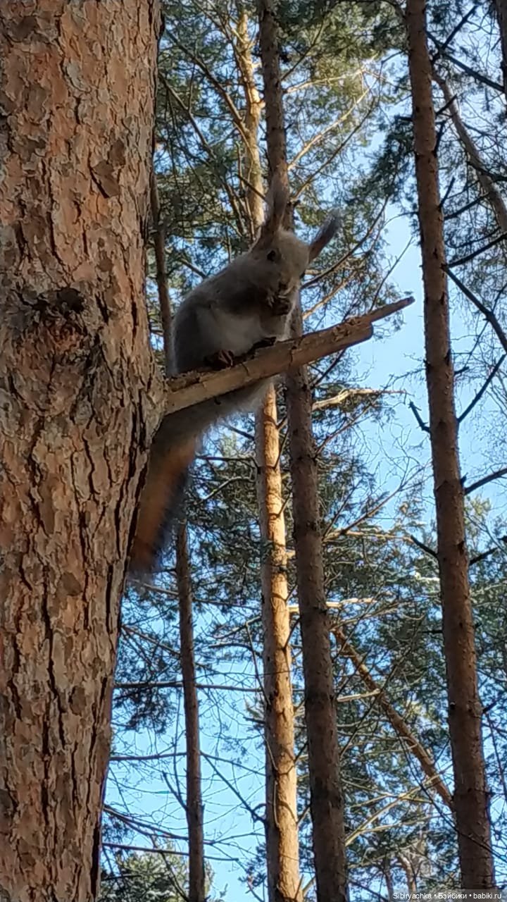 Юляшкина прогулка в погожий ноябрьский денёк | Бэйбики Юляшкина прогулка в погожий ноябрьский денёк