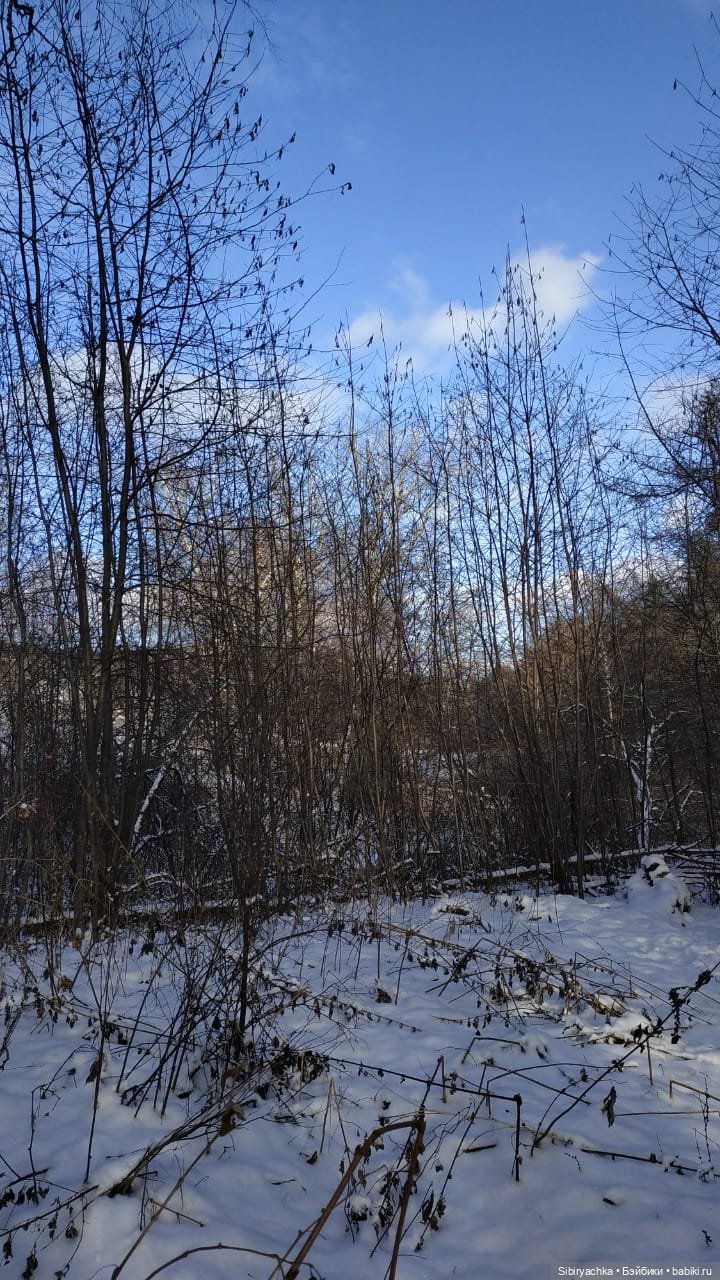 Юляшкина прогулка в погожий ноябрьский денёк | Бэйбики Юляшкина прогулка в погожий ноябрьский денёк