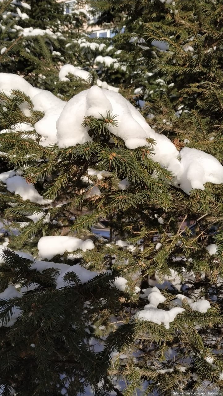 Юляшкина прогулка в погожий ноябрьский денёк | Бэйбики Юляшкина прогулка в погожий ноябрьский денёк (фото 8)