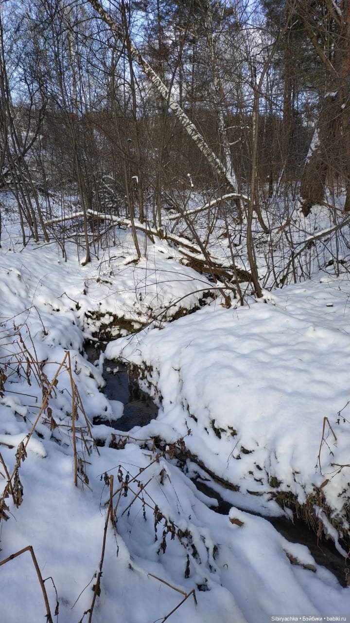 Юляшкина прогулка в погожий ноябрьский денёк | Бэйбики Юляшкина прогулка в погожий ноябрьский денёк