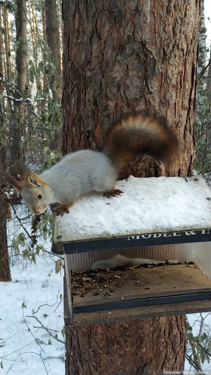 Юляшкина прогулка в погожий ноябрьский денёк | Бэйбики Юляшкина прогулка в погожий ноябрьский денёк