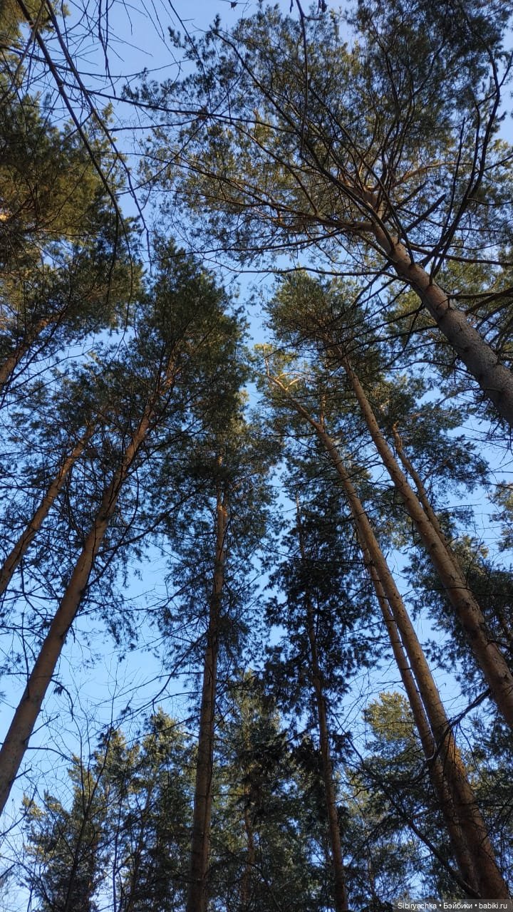 Юляшкина прогулка в погожий ноябрьский денёк | Бэйбики Юляшкина прогулка в погожий ноябрьский денёк