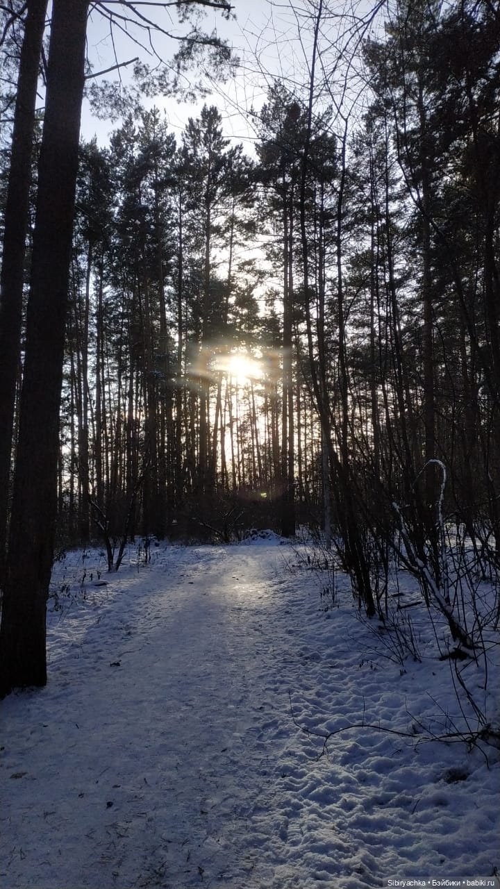 Юляшкина прогулка в погожий ноябрьский денёк | Бэйбики Юляшкина прогулка в погожий ноябрьский денёк