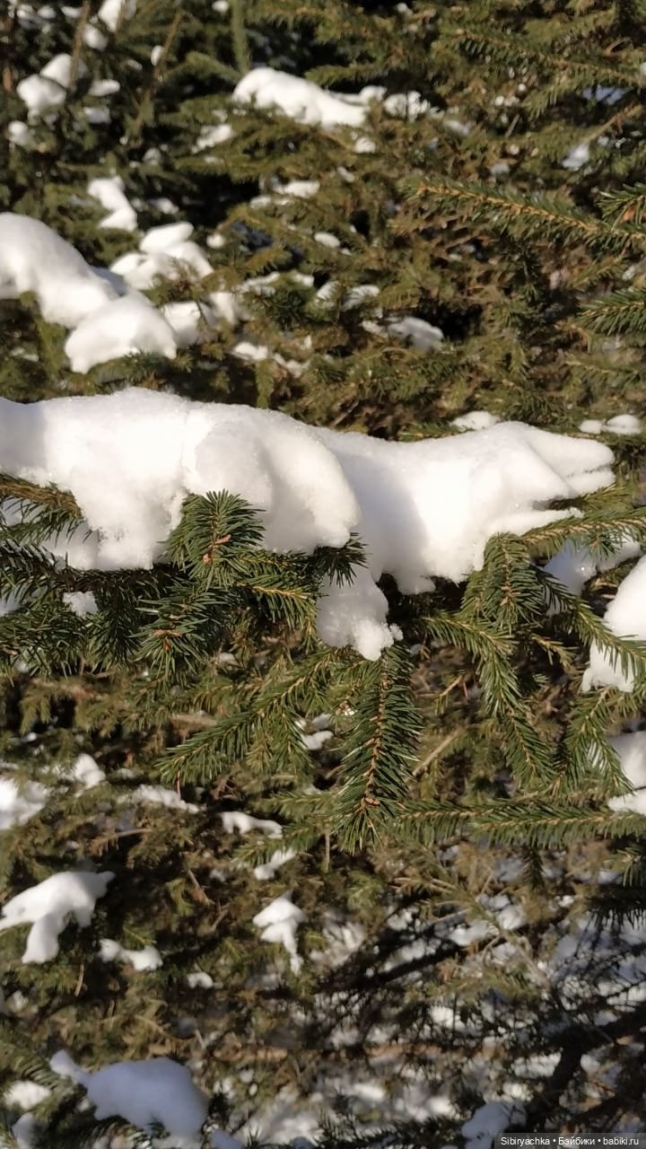 Юляшкина прогулка в погожий ноябрьский денёк | Бэйбики Юляшкина прогулка в погожий ноябрьский денёк (фото 10)