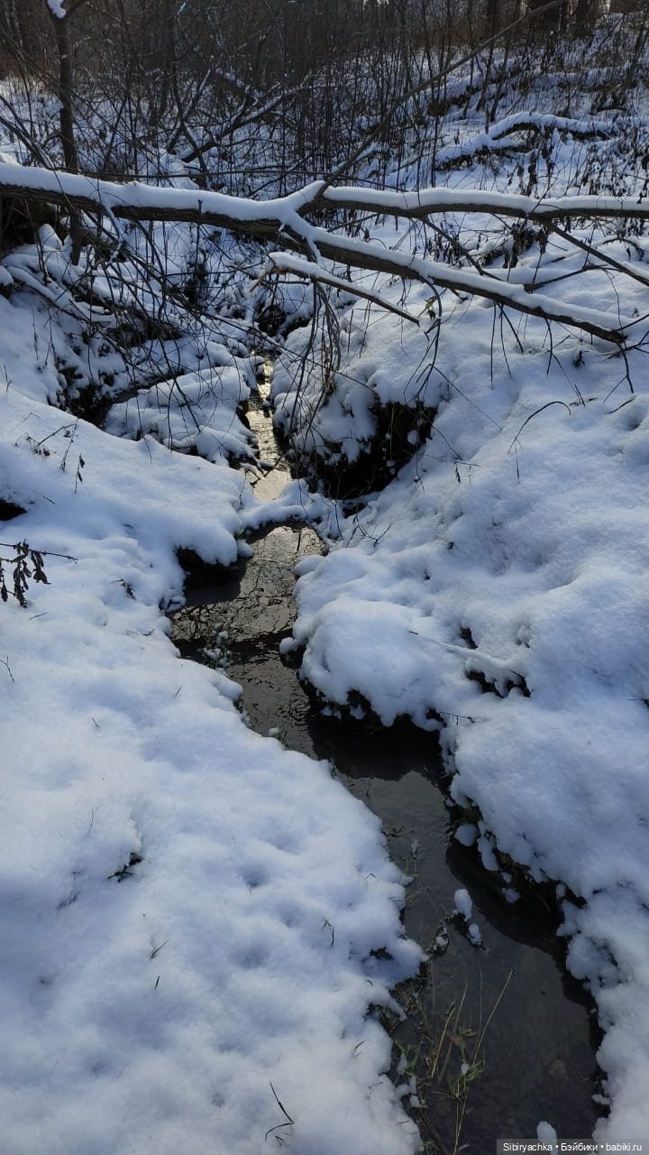 Юляшкина прогулка в погожий ноябрьский денёк | Бэйбики Юляшкина прогулка в погожий ноябрьский денёк