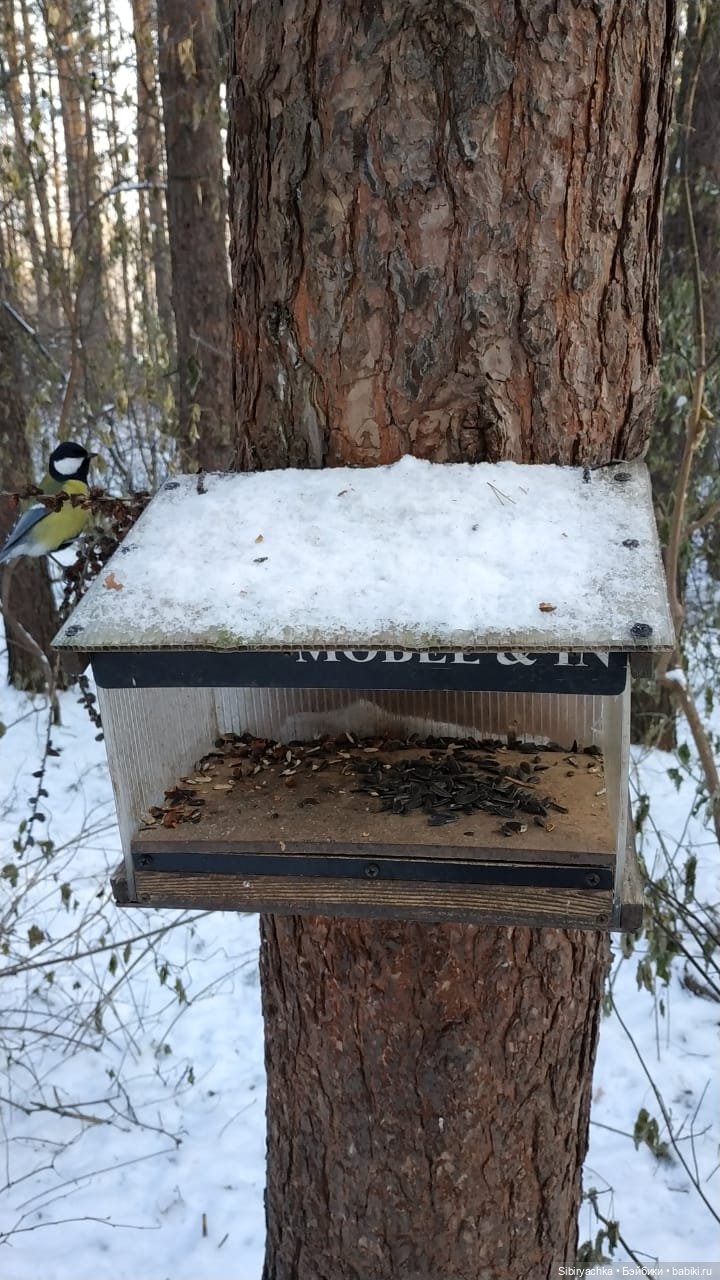 Юляшкина прогулка в погожий ноябрьский денёк | Бэйбики Юляшкина прогулка в погожий ноябрьский денёк