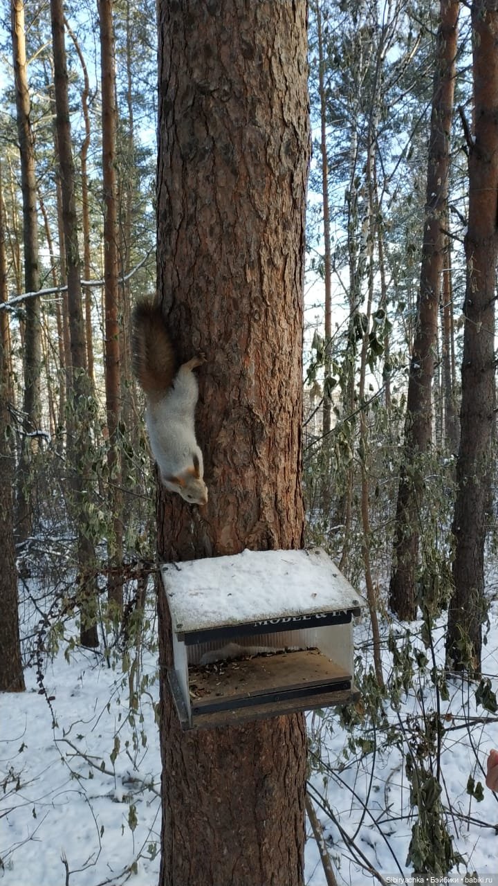 Юляшкина прогулка в погожий ноябрьский денёк | Бэйбики Юляшкина прогулка в погожий ноябрьский денёк